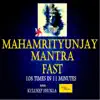 Kuldeep Shukla - Mahamrityunjay Mantra Fast (108 Times in 11 Minutes) - EP